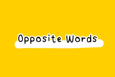 Opposite Words Exercises